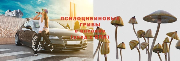 крисы Абаза