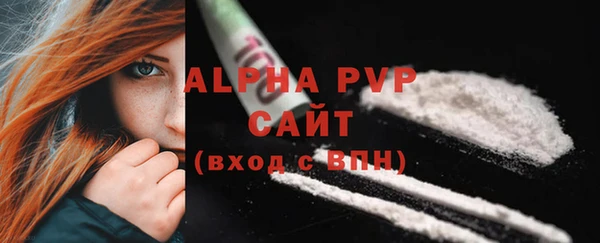 крисы Абаза