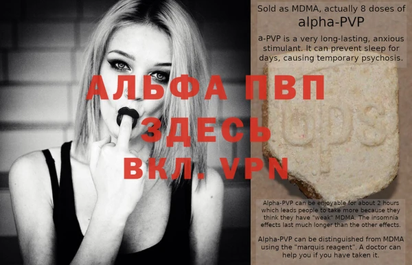крисы Абаза