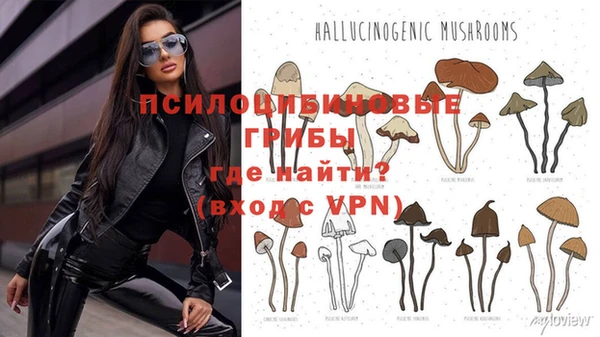 МДПВ Абдулино