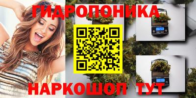 spice Ярославль