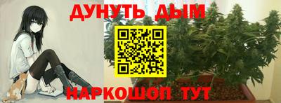 spice Ярославль