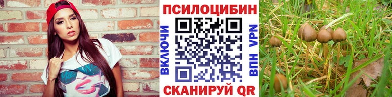 omg зеркало  Тюмень  Псилоцибиновые грибы мицелий 