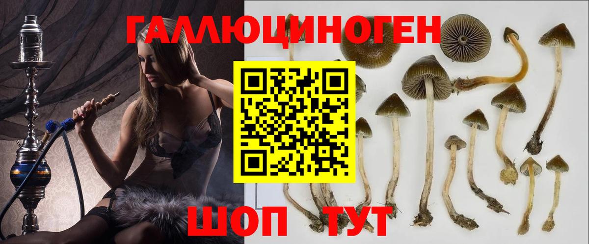 Псилоцибиновые грибы мицелий Тюмень