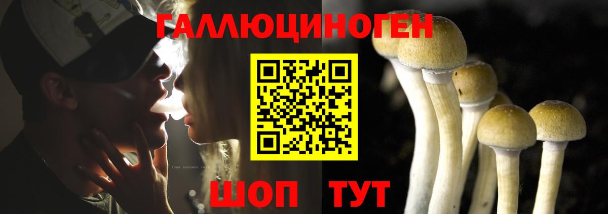 Тюмень  Галлюциногенные грибы MAGIC MUSHROOMS  Вход с VPN 